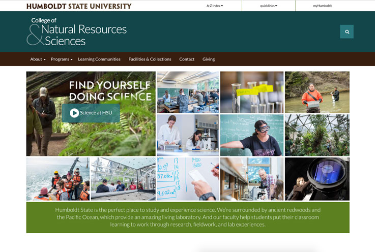 CNRS College Website Screenshot