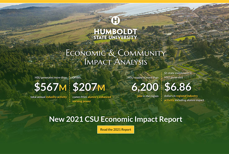 Economic Impact website screenshot