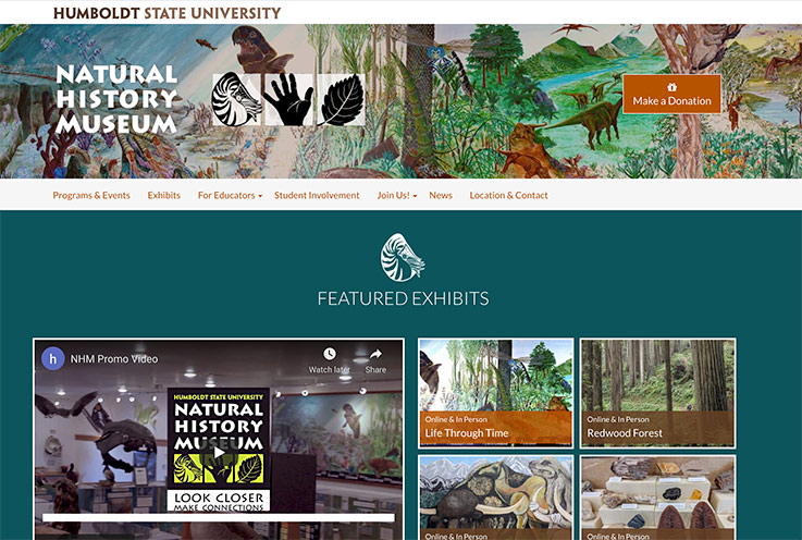 homepage of the Natural History Museum website